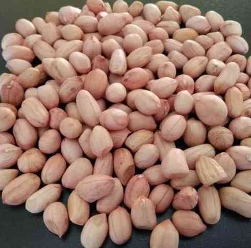 රට කජු අමුවා